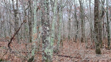 Wooded Lot: Gentle Topography