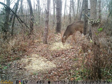 0 Jericho Rd, Glenmont, OH 44628 - photo 7