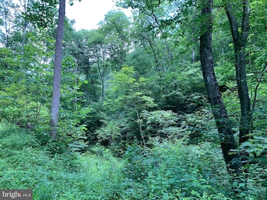 0 Route 5, Renick, WV 24966 - photo 7