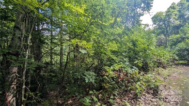 00 Chestnut Walk Dr unit 3, Waynesville, NC 28786 - photo 6