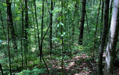 Additional View