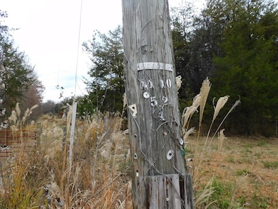 5 (P4) Brights Rd, Gretna, VA 24557 - photo 7