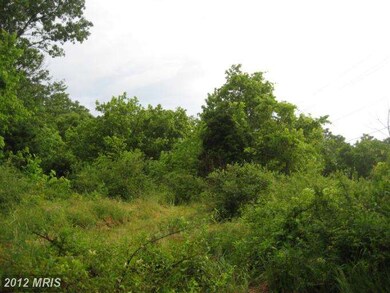 0 Shepherd Grade Rd unit 1004014652, Shepherdstown, WV 25443 - photo 4