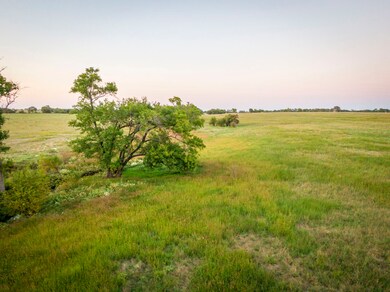 15965 Fm 107, Moody, TX 76557 - photo 4