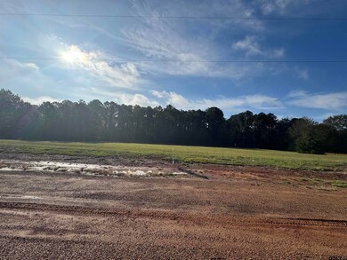 Lot 15 Hunters Hollow Dr, Mount Vernon, TX 75457 - photo 3