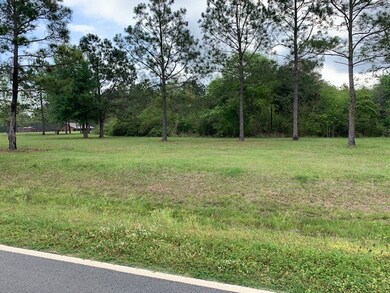 0 Mcmillan Rd, Ochlocknee, GA 31773 - photo 2