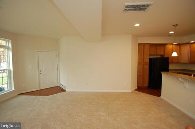 24678 Hutchinson Farm Dr, Aldie, VA 20105 - photo 5
