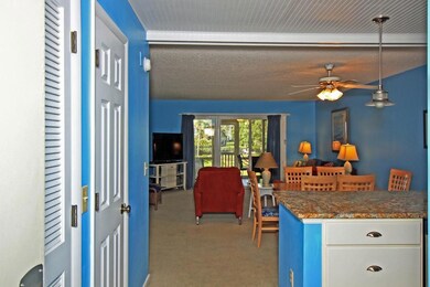 3 Mariners Walk unit B, Isle of Palms, SC 29451 - photo 2
