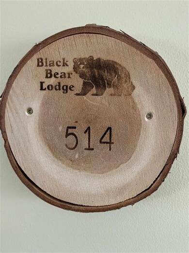 23 Black Bear Way unit 514, Waterville Valley, NH 03215 - photo 6