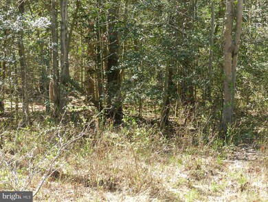 0 Birch Ln unit 1000408397, Colonial Beach, VA 22443 - photo 5