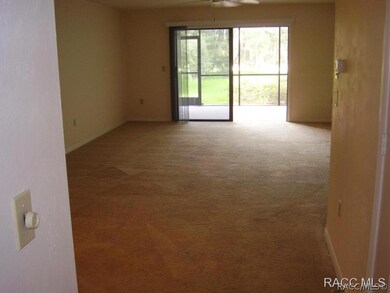 Large living room