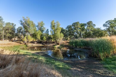 DSC03510-POND