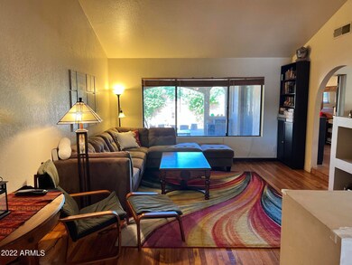 Sunken Living Room