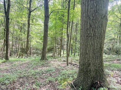 TBD Scenery Hill Rd, Wellsburg, WV 26070 - photo 7