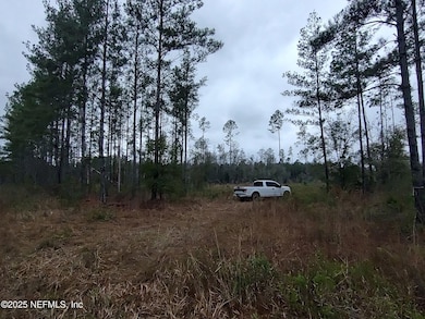 1757 Whippoorwill Ln, Glen St. Mary, FL 32040 - photo 5