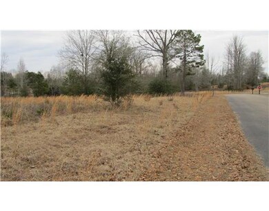 Land/Lot.