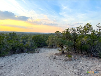 100 Acres N Cranes Mill Rd, Canyon Lake, TX 78133 - photo 5