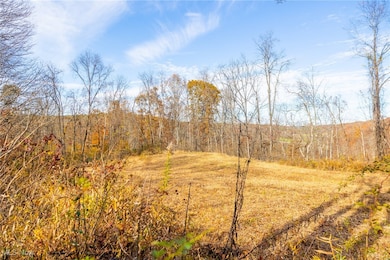 0 Hambel Rd, Union Township, OH 43758 - photo 4