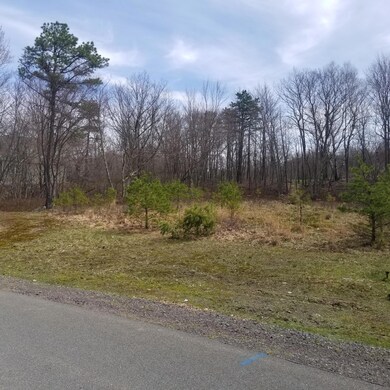 #61 Wild Pines, Pocono Pines, PA 18350 - photo 2