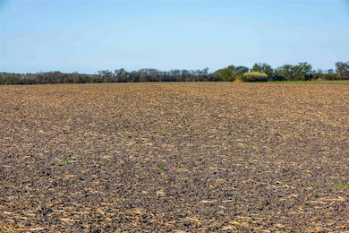 TBD County Road 462, Thorndale, TX 76577 - photo 6