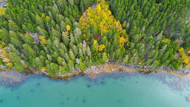 Shoreline