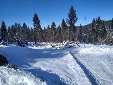 1050 Spring Hill Rd, Kila, MT 59920 - photo 2