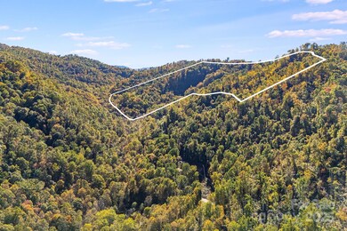 000 Hamburg Rd unit 49, Mars Hill, NC 28754 - photo 4