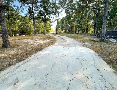 345 Johns Branch Rd, Wappapello, MO 63966 - photo 4