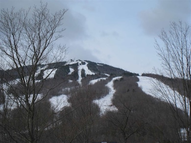 8 B Freestyle Cir, Dover, VT 05356 - photo 3