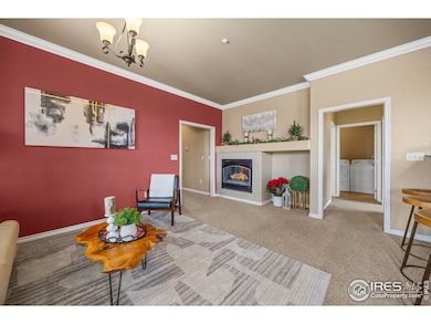 3545 Molly Cir unit 3545, Broomfield, CO 80023 - photo 7