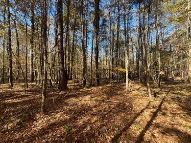 1597 Oconee Rd, Buckhead, GA 30625 - photo 7