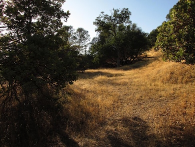 View of lower 'show pad', which is between both po