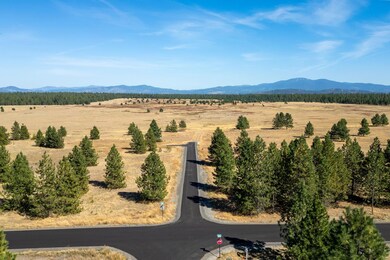 NKA N Tudor Rd unit LOT 2, Deer Park, WA 99006 - photo 6