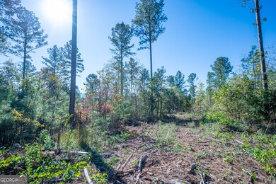 3867 Hwy 140 NE, Rydal, GA 30171 - photo 7