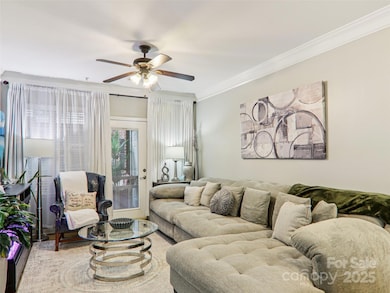 617 Appeldoorn Cir unit 617, Asheville, NC 28803 - photo 5