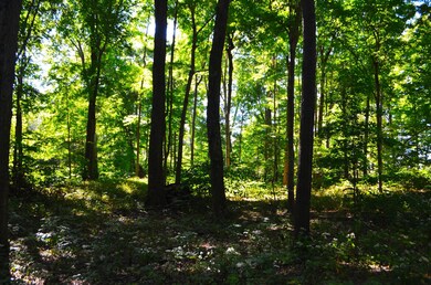 Woods