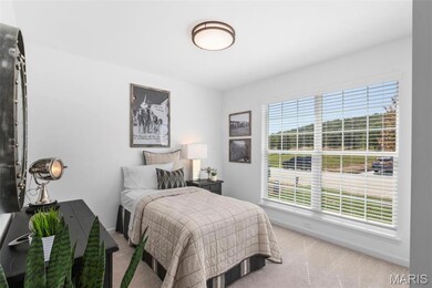 2 Aspen II at Riverstone, Florissant, MO 63031 - photo 7