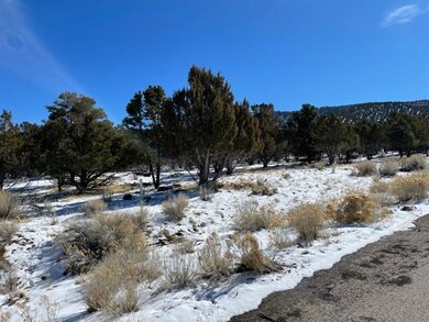 529 S 1050 W, Summit, UT 84772 - photo 3