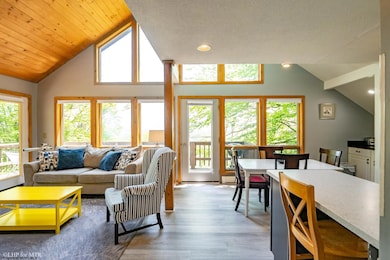 65 Snow Run Rd, Davis, WV 26260 - photo 4