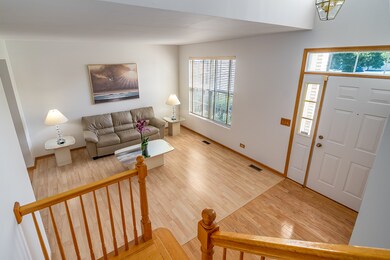 24321 Apple Tree Ln, Plainfield, IL 60585 - photo 2