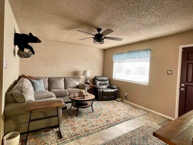 414 Scenic Dr, Alamogordo, NM 88310 - photo 3