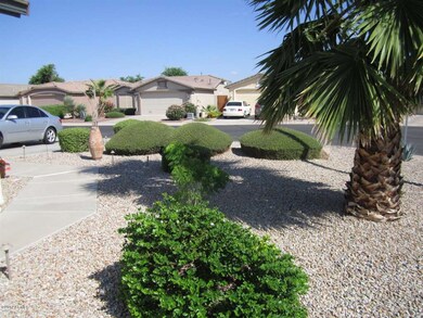 Front Yard