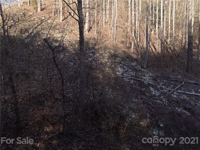 9999 Little Creek Rd, Burnsville, NC 28714 - photo 6