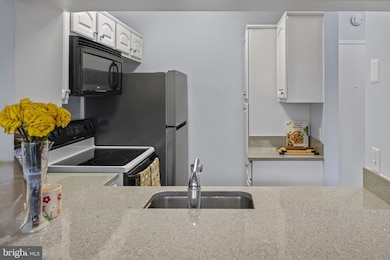 Lofts Condominiums unit 202, Alexandria, VA 22304 - photo 4