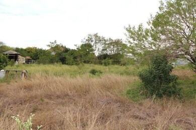 1010 Hawk St, Alamo, TX 78516 - photo 3