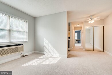 2239 Farrington Ave unit 303, Alexandria, VA 22303 - photo 5