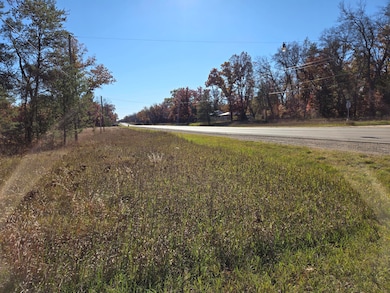 V/L Michigan 37, Baldwin, MI 49304 - photo 3