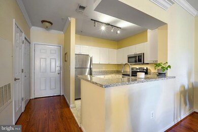 4561 Strutfield Ln unit 3313, Alexandria, VA 22311 - photo 6