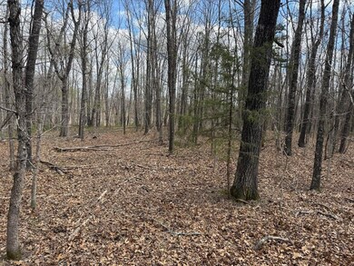 Jettsen Photo 4 IMG_0136