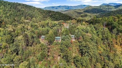 4206 Mountain Rest Way, Sevierville, TN 37876 - photo 5